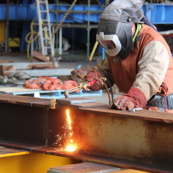 OPV_work_July_2019_(3)